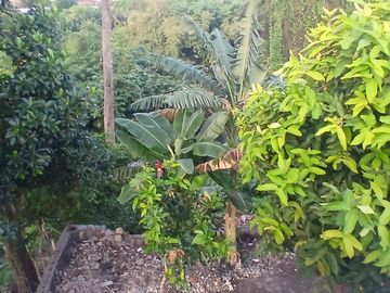 BRAND NEW HOUSE 2 BEDROOMS WITH RIVER VIEW IN KESIMAN - EAST DENPASAR