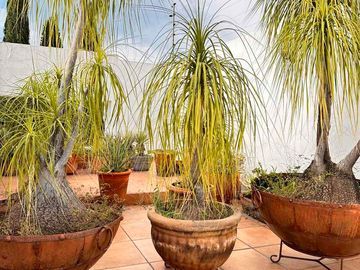 LINDA CASA REMODELADA
