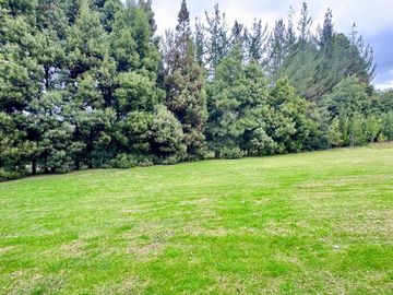 🏡 Oportunidad Única de Inversión Quinta Funcional para Eventos y Hospedaje en Tabacundo 🌿