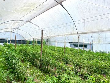 🏡 Oportunidad Única de Inversión Quinta Funcional para Eventos y Hospedaje en Tabacundo 🌿