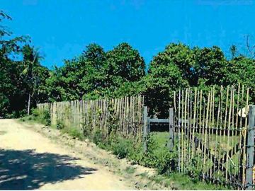 Commercial Beachfront Lot in El Nido Palawan for Resort Development 4,722 sqm
