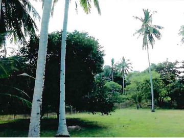 Commercial Beachfront Lot in El Nido Palawan for Resort Development 4,722 sqm