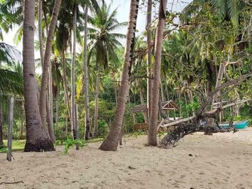 Commercial Beachfront Lot in El Nido Palawan for Resort Development 4,722 sqm