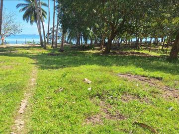 Commercial Beachfront Lot in El Nido Palawan for Resort Development 4,722 sqm