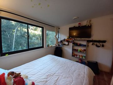 Encantadora Parcela con Casa Principal y 2 Cabañas, ubicadas en Sector