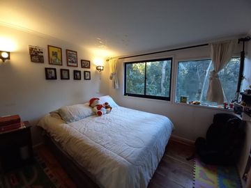 Encantadora Parcela con Casa Principal y 2 Cabañas, ubicadas en Sector