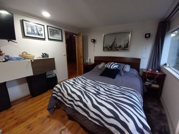 Encantadora Parcela con Casa Principal y 2 Cabañas, ubicadas en Sector