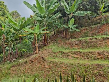 Venta finca Dapa Yumbo Valle del Cauca