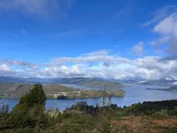 Parcela con vista privilegiada al río Valdivia – Cutipay Alto