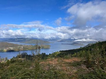 Parcela con vista privilegiada al río Valdivia – Cutipay Alto