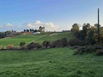 Vende Parcela con casa y Bodega en San Agustin camino costero Calbuco Puerto Montt