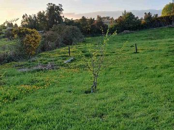 Vende Parcela con casa y Bodega en San Agustin camino costero Calbuco Puerto Montt