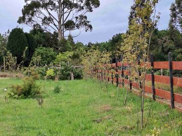 Vende Parcela con casa y Bodega en San Agustin camino costero Calbuco Puerto Montt
