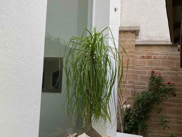 Residencia en Venta en Punta del Este, león, Gto, fracc. privado, zona ibero, terreno 100% plano, óptimas condiciones.