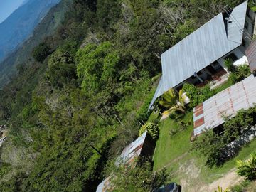 VENTA DE FINCA CAFETALERA Y ECOTURÍSTICA EN EL VALLE DE ENTAZ – VILLA RICA, PASCO