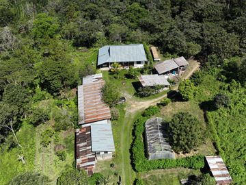 VENTA DE FINCA CAFETALERA Y ECOTURÍSTICA EN EL VALLE DE ENTAZ – VILLA RICA, PASCO