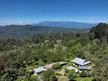 VENTA DE FINCA CAFETALERA Y ECOTURÍSTICA EN EL VALLE DE ENTAZ – VILLA RICA, PASCO