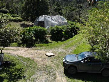 VENTA DE FINCA CAFETALERA Y ECOTURÍSTICA EN EL VALLE DE ENTAZ – VILLA RICA, PASCO