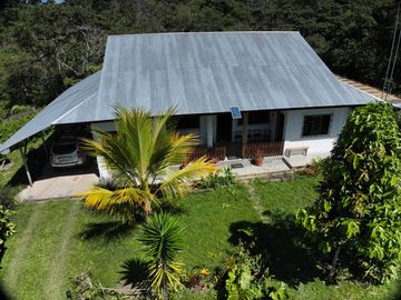 VENTA DE FINCA CAFETALERA Y ECOTURÍSTICA EN EL VALLE DE ENTAZ – VILLA RICA, PASCO