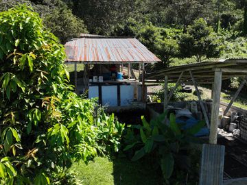 VENTA DE FINCA CAFETALERA Y ECOTURÍSTICA EN EL VALLE DE ENTAZ – VILLA RICA, PASCO
