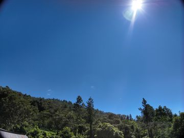 VENTA DE FINCA CAFETALERA Y ECOTURÍSTICA EN EL VALLE DE ENTAZ – VILLA RICA, PASCO