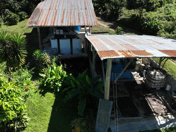 VENTA DE FINCA CAFETALERA Y ECOTURÍSTICA EN EL VALLE DE ENTAZ – VILLA RICA, PASCO