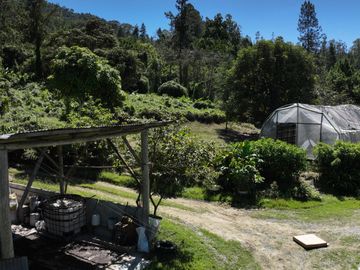 VENTA DE FINCA CAFETALERA Y ECOTURÍSTICA EN EL VALLE DE ENTAZ – VILLA RICA, PASCO