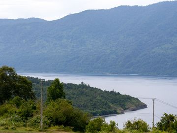 Agro Parcela en venta con vista al Lago Riñihue