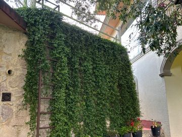 Exclusiva Finca en Venta con Elegante Diseño Mexicano y Caballerizas. Amueblada