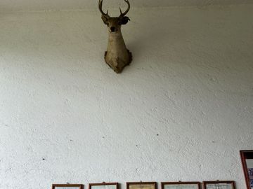 Exclusiva Finca en Venta con Elegante Diseño Mexicano y Caballerizas. Amueblada