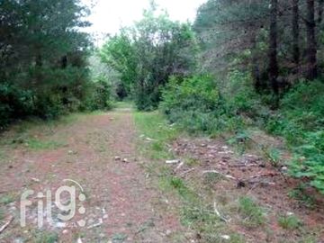 Venta de Predio con Bosque Nativo, Roble, Raulí y Coigüe en Los Lagos