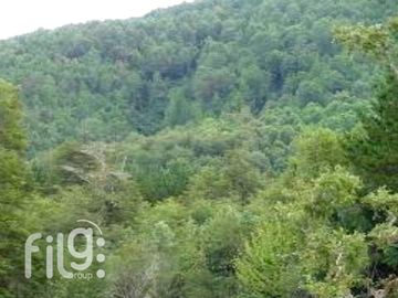 Venta de Predio con Bosque Nativo, Roble, Raulí y Coigüe en Los Lagos