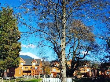 Vendo Casa en Bosques de Puerto Pucón