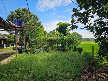 Jual Murah Kavling Samping Perum Griya Suradita Indah Cisauk Tangerang Lokasi Bagus sangat Strategis