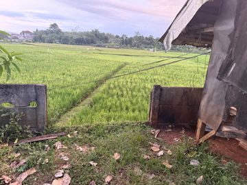 Jual Murah Kavling Samping Perum Griya Suradita Indah Cisauk Tangerang Lokasi Bagus sangat Strategis