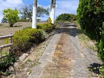 venta de finca a 40 minutos de alcala