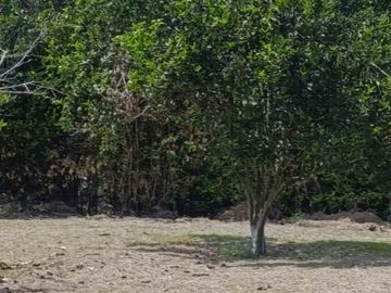 venta de finca a 40 minutos de alcala