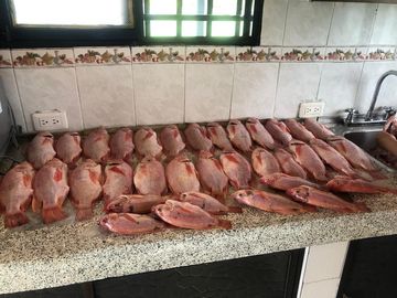 SE VENDE O SE PERMUTA FINCA TURISTICA ALCALA VALLE
