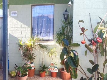 Linda y acogedora casa en sector Torre Blanca, Copiapó.