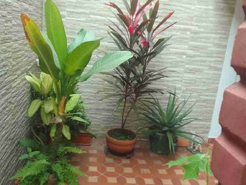 VENDO CASA, SECTOR LA HACIENDA, SUR DE CALI