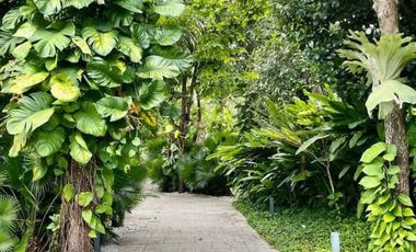 1-Bedroom Beachfront Condo for Sale at Tambuli Seaside Living – Mactan Island, Lapulapu City, Cebu