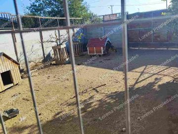 CASA DE UN PISO CON PATIO, TRONCOS VIEJOS