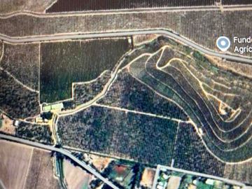 Campo Agrícola Melipilla