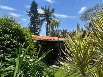 Jardines de Delicias, avenida san diego