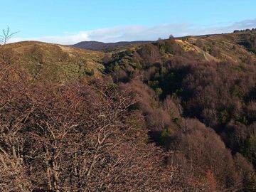 Hermosa Parcela de 9.6 ha (casa nueva, galpones e invernaderos), ideal para realizar un proyecto de Inversión