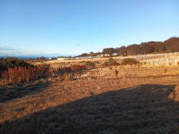 Hermosa Parcela de 9.6 ha (casa nueva, galpones e invernaderos), ideal para realizar un proyecto de Inversión