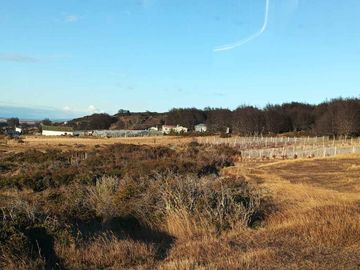 Hermosa Parcela de 9.6 ha (casa nueva, galpones e invernaderos), ideal para realizar un proyecto de Inversión