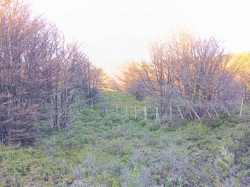 Hermosa Parcela de 9.6 ha (casa nueva, galpones e invernaderos), ideal para realizar un proyecto de Inversión