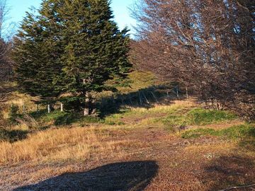 Hermosa Parcela de 9.6 ha (casa nueva, galpones e invernaderos), ideal para realizar un proyecto de Inversión