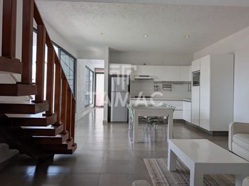Renta de departamento en Cuernavaca, Junto al Río